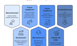 Wniesienie aportu do spółki obejmuje nieruchomości, prawa majątkowe (autorskie, patenty, użytkowanie wieczyste), ruchomości, wierzytelności, udziały/akcje i przedsiębiorstwo.