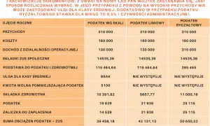 Tabela porównująca rozliczenia podatkowe dla Pana Wojtka, prowadzącego działalność gospodarczą (JDG) i rozważającego spółkę zoo. Analiza przychodów, kosztów i podatków.